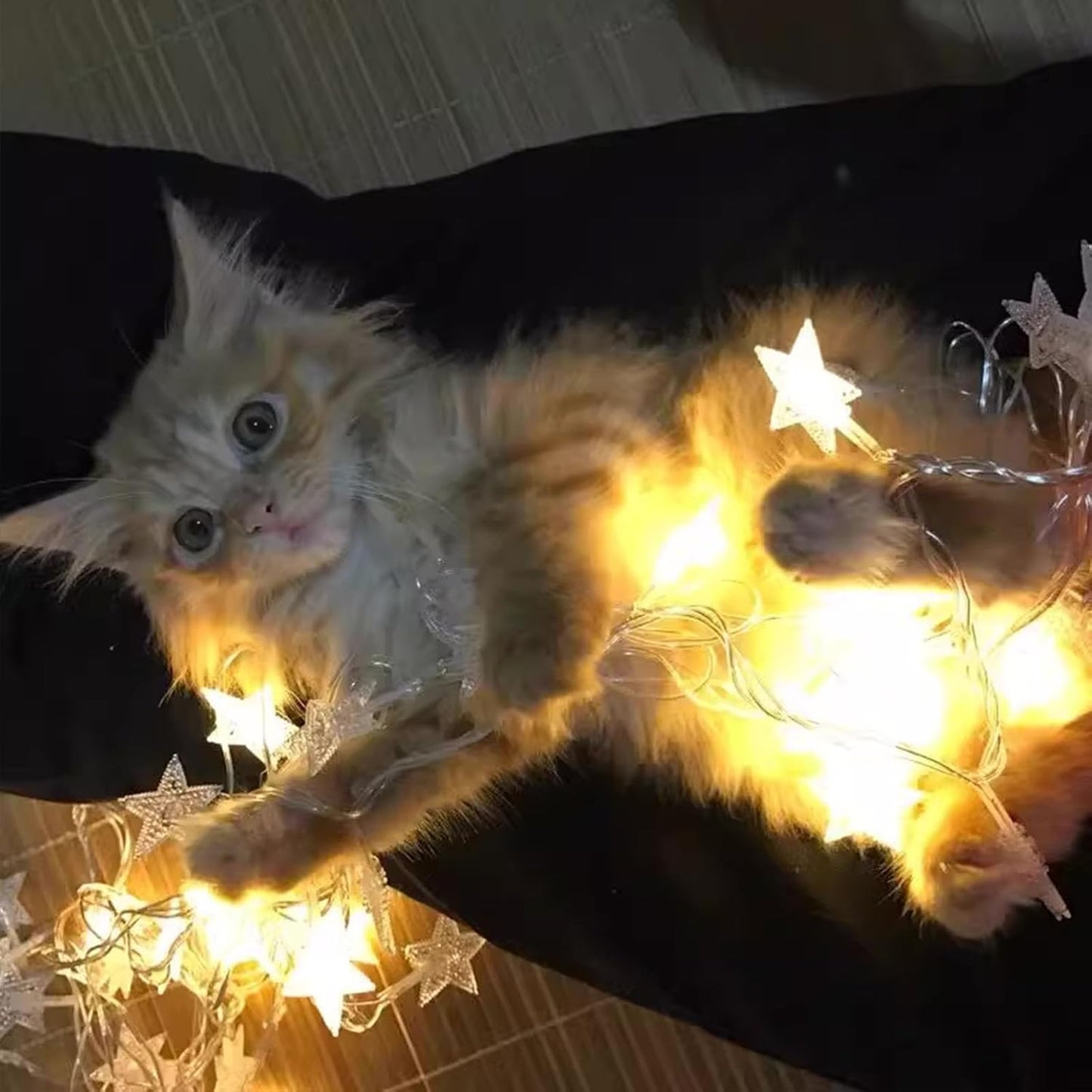 Star String Lights for Bedroom - 17 Ft 50 LED Fairy Christmas Lights Battery Operated, Indoor Outdoor Waterproof Star Twinkle Light for Tent Loft Bed Party Camping Decor