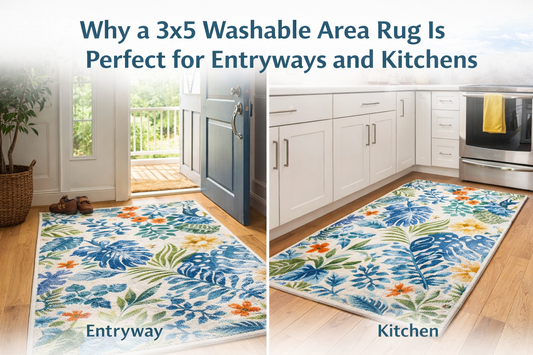 Best 3x5 Washable Entry Rug for Kitchen, Living Room, and More