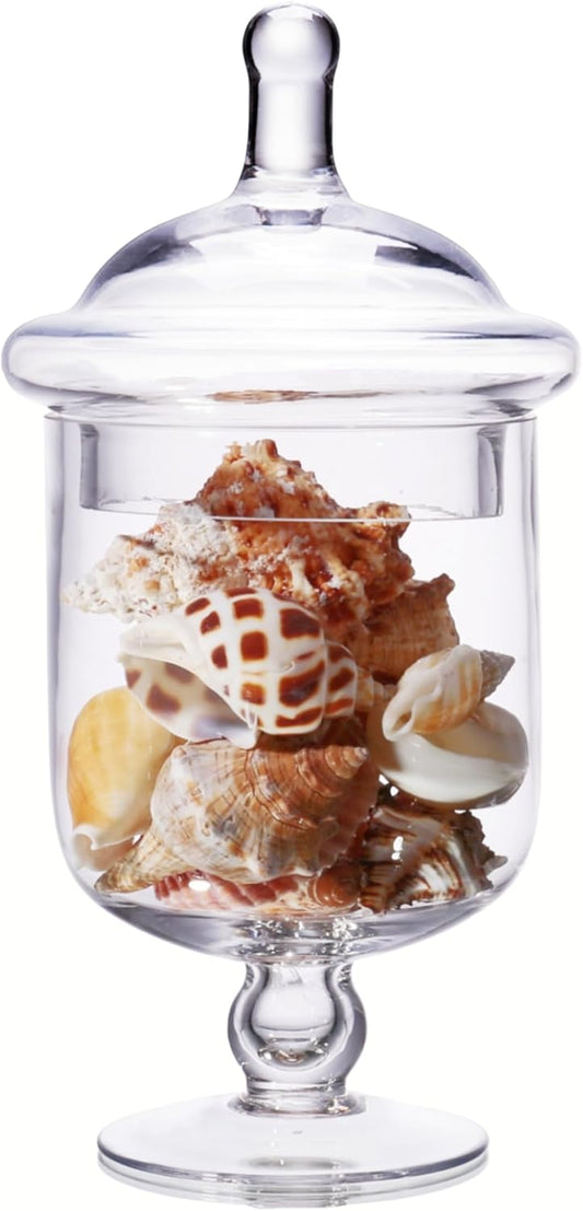 Small Glass Apothecary Jars with Lid, Clear Candy Jar with Lid, Cute Small Decorative Glass Jars for Wedding, Display and Home Decor, Glass Canisters (Height: 9", Diameter: 5")
