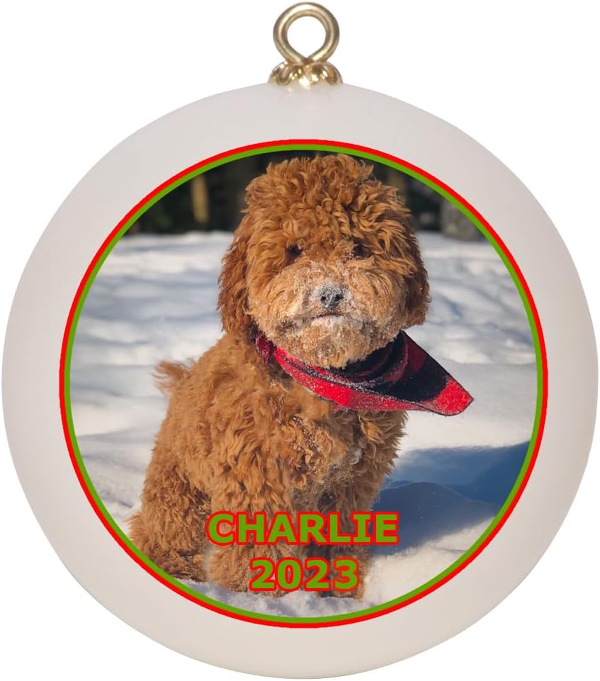 Custom Dog, Cat, or Pet Christmas Ornament Keepsake with Gift Box, Personalized Pet Picture with Pet Name, Shatterproof 2023 Holiday Ball Ornament for Pet Owners