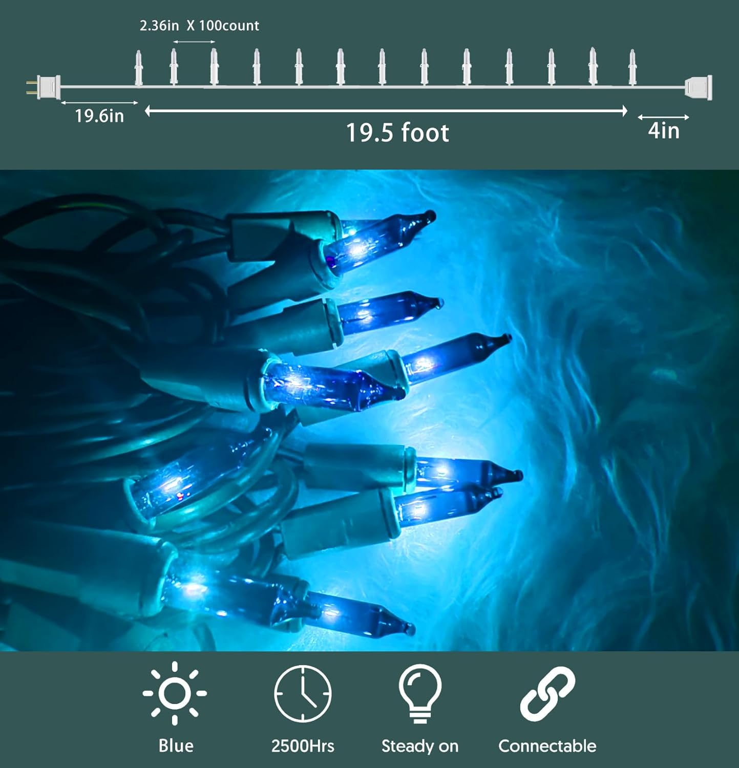 HISHINY Christmas Lights 100 Count Blue Christmas Tree String Lights with Green Wire for Outdoor Indoor Christmas Decorations Wedding Decorations Valentines Day Decor,UL Certified (21feet)