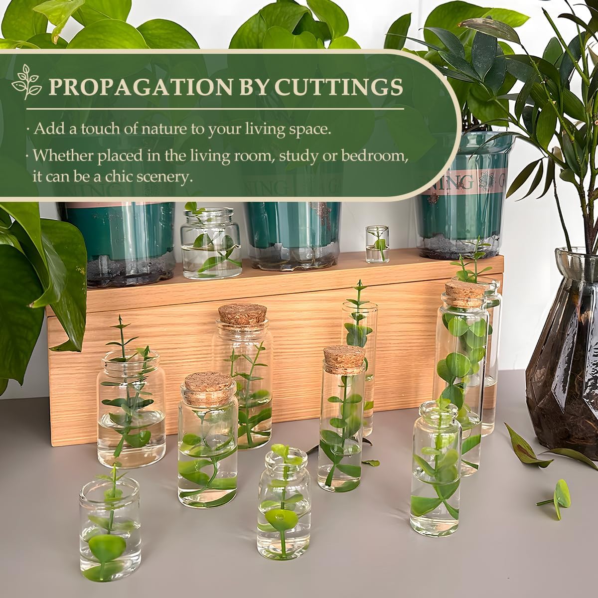 JIUYUE 15 pcs 50 ml Glass Bottle with Cork,Jars with Cork Lids(1.7 oz-1.85x1.96 inch)